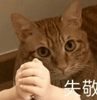 尊龙旗舰厅app官方下